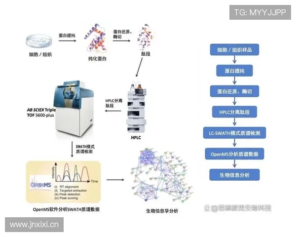 伊萨克面对顶级中卫的技术优势解析