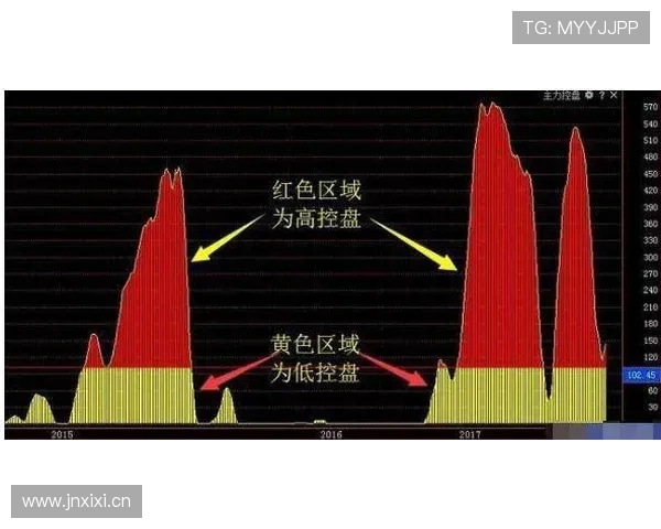 限制区违例判定全解析,掌握禁区规则关键点